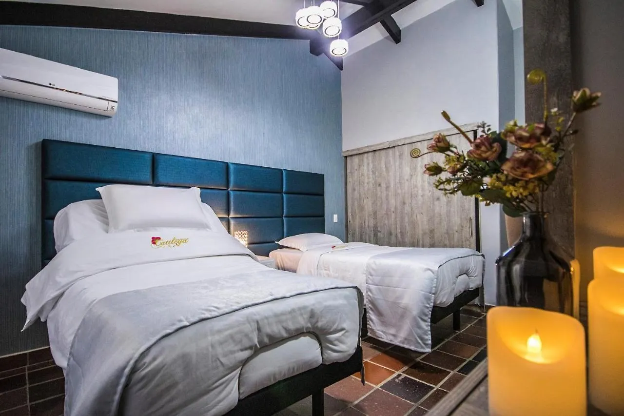 Hotel Boutique Cattleya Recovery