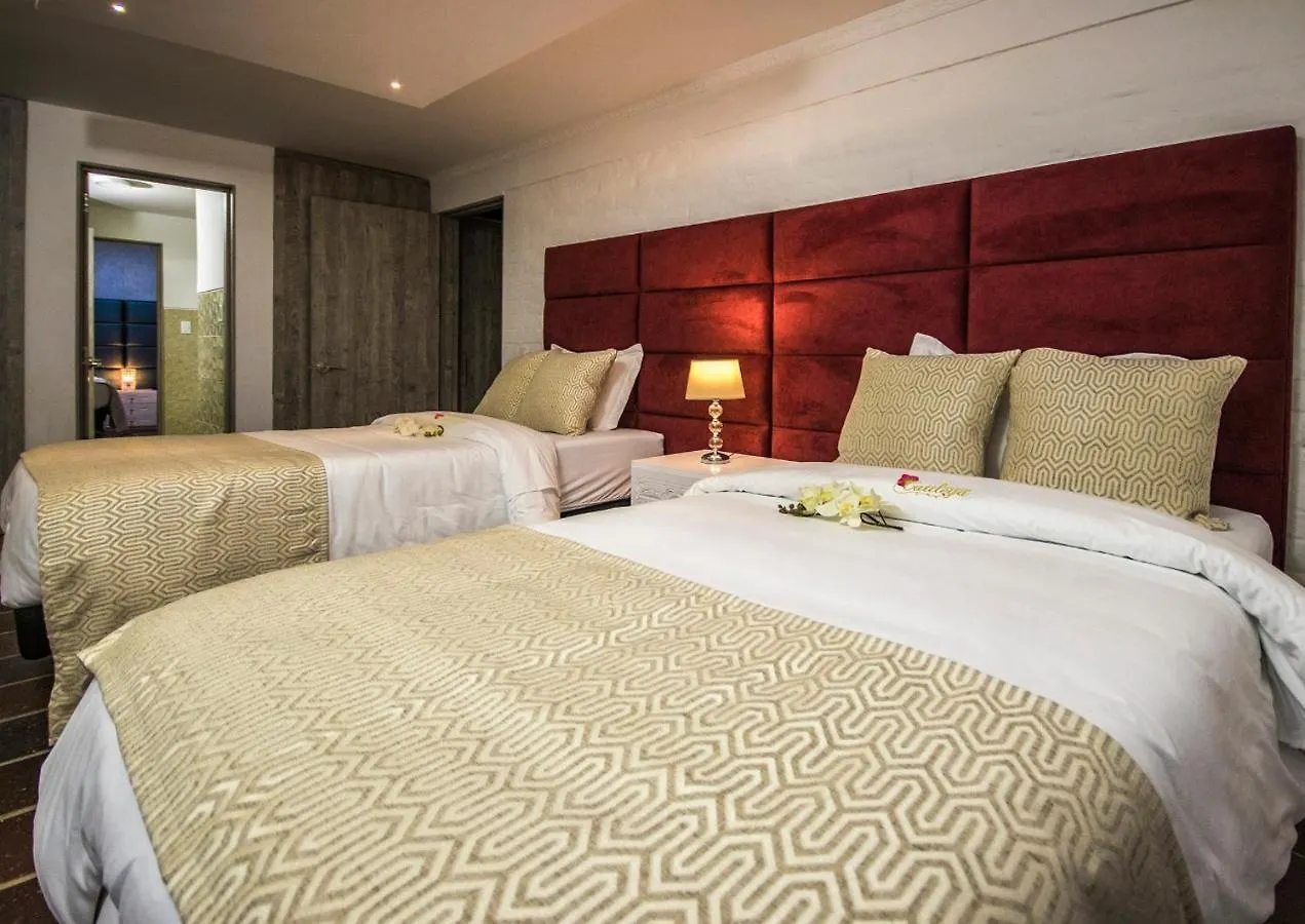 Hotel Boutique Cattleya Recovery