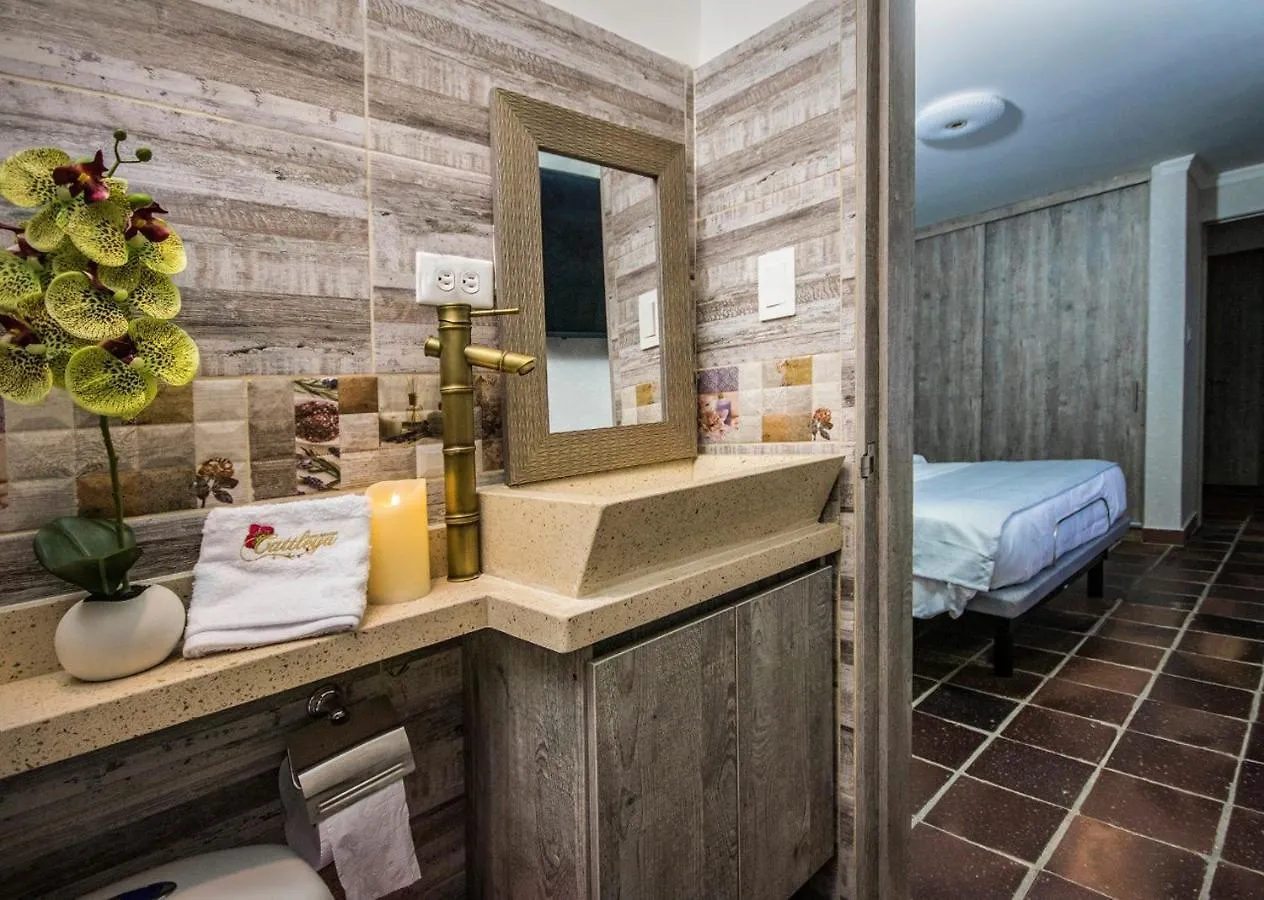 Hotel Boutique Cattleya Recovery